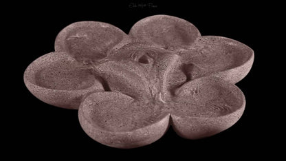 Cornelia Flowform
